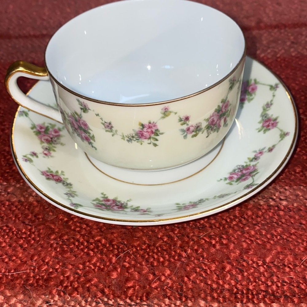 THUN CZECHOSLOVAKIA CHINA CUP AND SAUCER VINTAGE FAIRMONT
